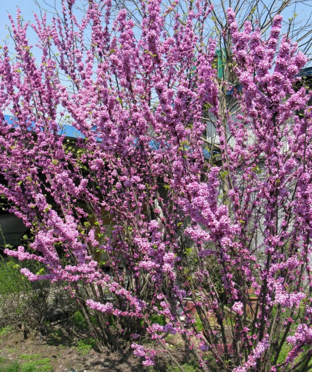 1676811042956317.jpg 微信圖片_20230201051103.jpg