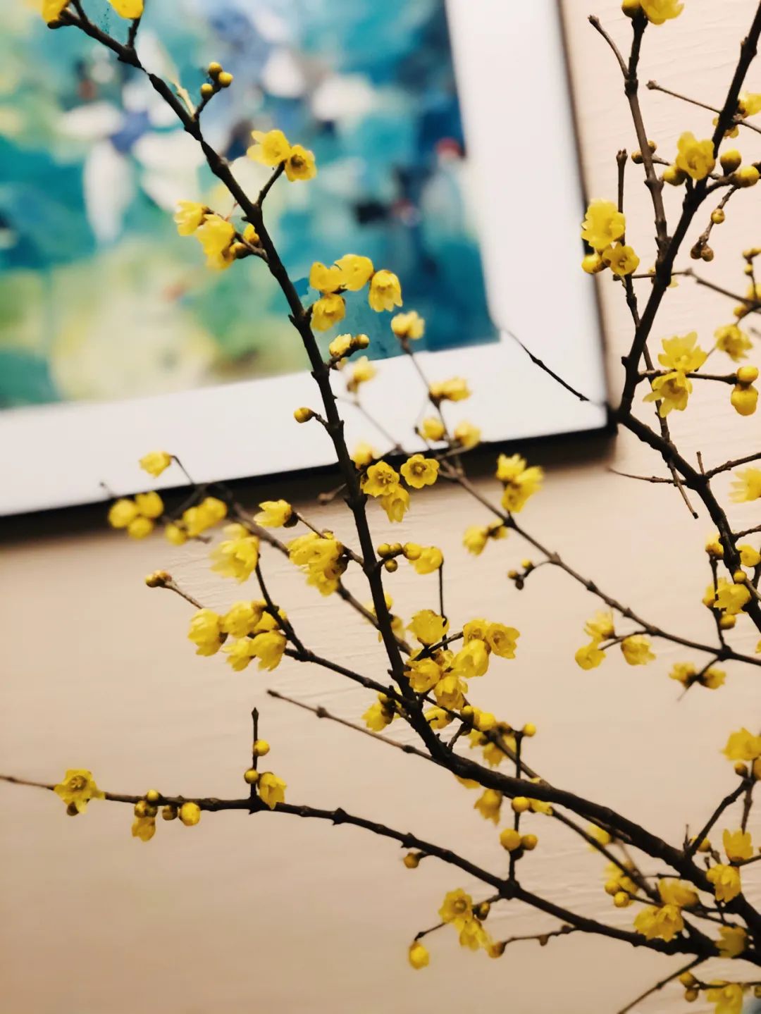 1676893603505675.jpg 微信圖片_20221023232751.jpg