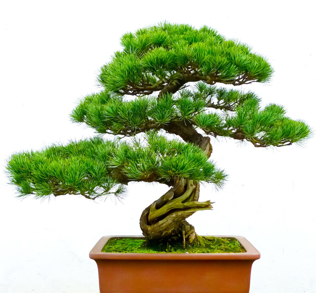 1676894851401088.png 微信圖片_20221029115946.png