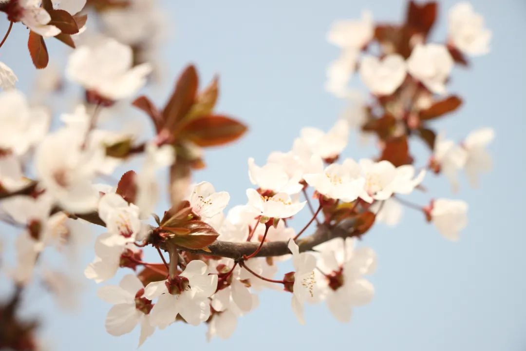 1676895852126397.jpg 微信圖片_20230107162436.jpg