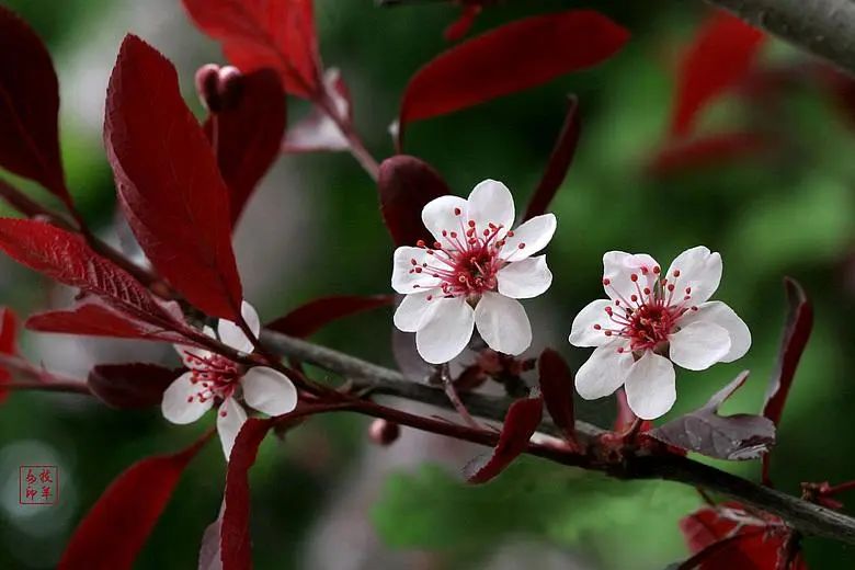 1676895860166881.jpg 微信圖片_20230107162448.jpg