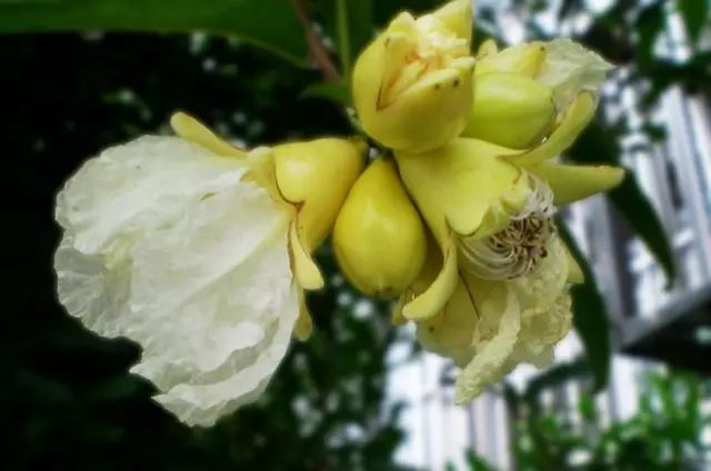 1676898864194862.jpg 微信圖片_20230220211313.jpg