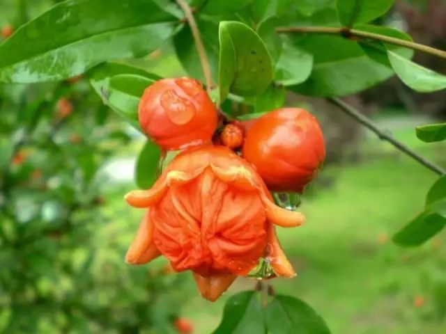 1676898870464215.jpg 微信圖片_20230220211309.jpg