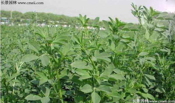 1712106416143526.jpg 1-1F50114001H28.jpg